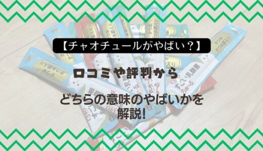 【チャオチュールがやばい？】口コミや評判からどちらの意味のやばいかを解説！