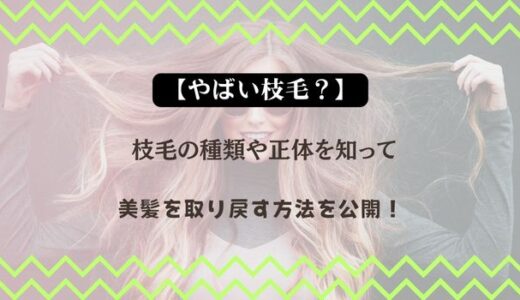 【やばい枝毛？】枝毛の種類や正体を知って美髪を取り戻す方法を公開！