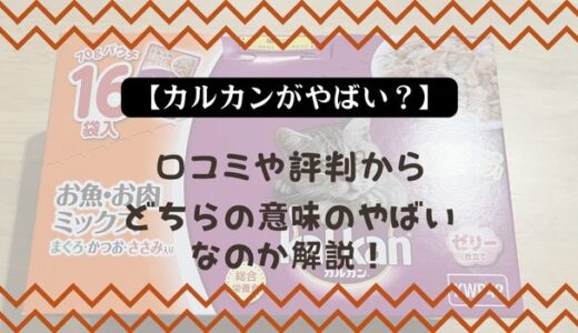 【カルカンがやばい？】口コミや評判からどちらの意味のやばいなのか解説！